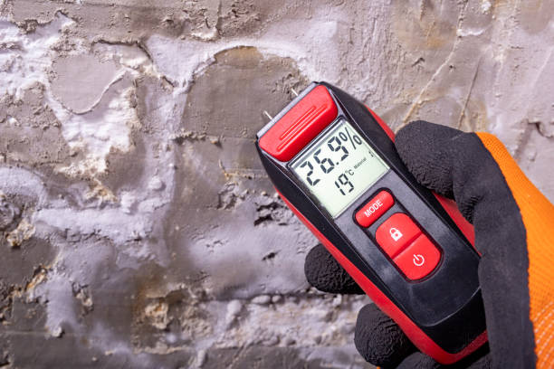 Best Bathroom Mold Remediation in Alamo, CA